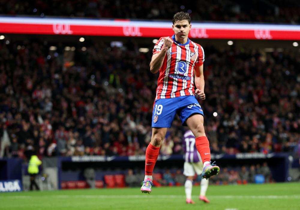 森林狼展现 森林狼展现